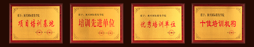 頂興假發學院